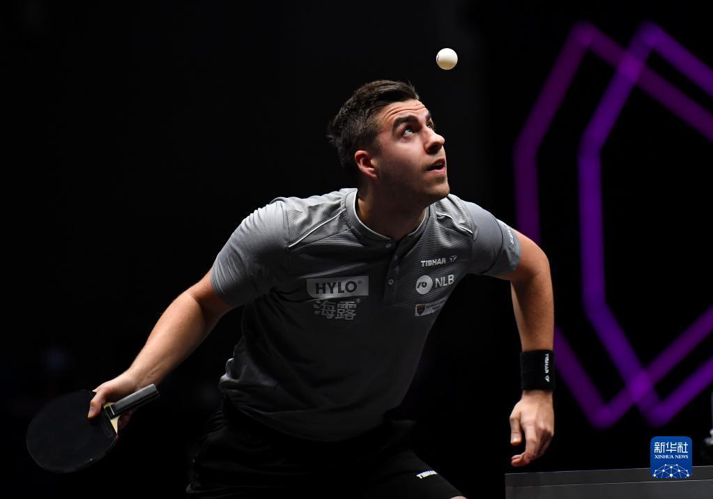 的全方位素 的全方位素